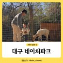 세븐일레븐 시흥네이처뷰점 | 대구 네이처파크 카피바라 백사자 구경할 수 있는 동물원 아이와가볼만한곳