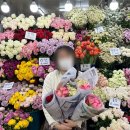 남대문꽃시장 영업시간, 주차, 꽃 '더' 싸게 사는 꿀팁까지!