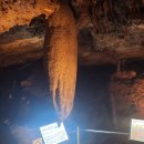 천곡황금박쥐동굴 이미지