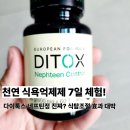 천연 식욕억제제 다이톡스 네프틴정 30대 남자 7일 체험 후기! 식탐조절 진짜 될까?