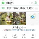 비체올린 이미지