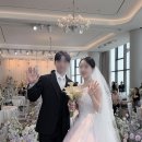 로지로지플라워 - 서구 둔산남로180번길 18 | 더세인트 파노라마홀 아이폰스냅 로지미 실장 촬영 후기 우아르 본식