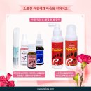 레푸스네일 이미지