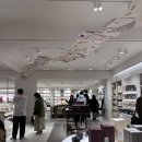 더자라 | 잠실 롯데몰 자라홈 리뉴얼 후기｜어느새 오픈, 더 넓어지고 패브릭이 풍부해졌어요