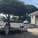 평화동복지회관 이미지