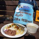 삼화버스공사 노동조합 | 한국옵티칼하이테크 희망 뚜벅이 21일 차, 안양역까지