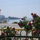 용암초등학교병설유치원 이미지