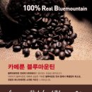 마운틴푸드 이미지