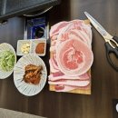 돼지한마리 이미지