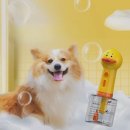 옆집강아지 | 강아지 고양이 샴푸 거품기, 자동 목욕 버블메이커 사용 후기