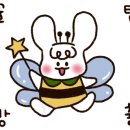 이지워시셀프빨래방전주 이미지