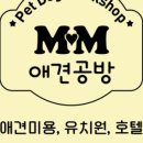 mm애견공방 이미지