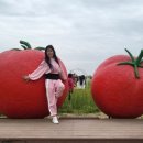 토마토 댄스스포츠학원 이미지