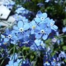 여름이네 이미지