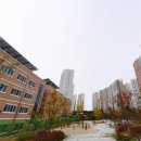 송안초교 네이버블로그