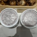 동궁찜닭 기장일광점