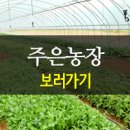 주은농장 이미지