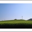 태안바다 이미지