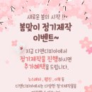 디앤디피아