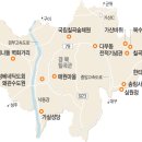 노루도 쉬어가는 ‘전설의 바위’ 아래… ‘노란색 봄’이 반짝인다 이미지