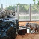 동선농장 이미지