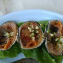 운영수산회센타 이미지