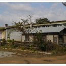 경진초등 이미지