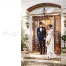 하이,포포 이미지