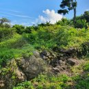 상예동-4 이미지