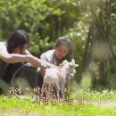 추억의 다락방 민박 이미지