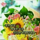 꼬망쎄 네이버블로그