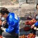 토마토의원 이미지