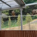 서울시 야생동물 구조관리센터 이미지