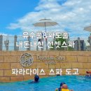 언더파라다이스 | 아산 파라다이스 스파 도고 내돈내산 할인 꿀팁, 준비물, 필수 코스 총정리 후기