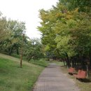 화랑유원지 이미지