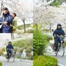 복단지 이미지
