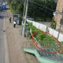 신월동014 이미지