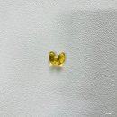 라온코코몰