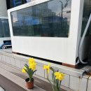 갈산전통시장 | [홍성 식당] 접근성 좋은 시내 해산물 맛집 “자연수산” 신선도 끝판왕