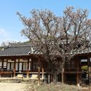 동계 종택 이미지