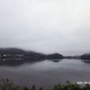 반월-9 Daum카페