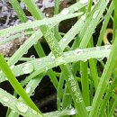 내내농수산 이미지