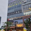 야당과선교 앞 이미지