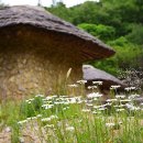 억새마을 이미지