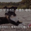 플라비우스 이미지