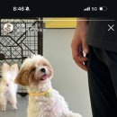 댕동댕 유치원 이미지