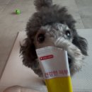 뜨개로 놀자 | 잃는 것보다 사랑하지 않는 게 차라리 쉬워서 나는 자꾸만 아니라는 말 뒤로 숨어