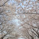 대구선동촌공원3 이미지