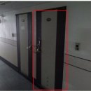 대선월드피아 이미지