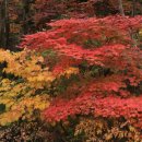 갈현3리 이미지